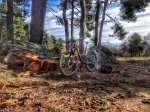 IMG-20170218-WA0049-01.jpeg