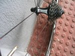 DSCN4668.JPG
