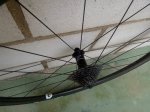 IMG_20170219_134816.jpg