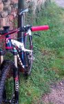 IMG_20170224_031653.jpg