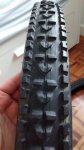 IMG_20170208_085948131.jpg