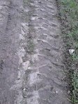 16806877_10210770912662128_3742622310502369000_n.jpg