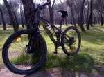 IMG-20170226-00102.jpg