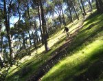 IMG_20170225_120040.jpg