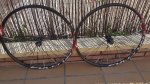 20170219_121800.jpg