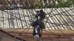 20170219_121831.jpg