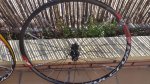 20170219_121927.jpg