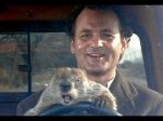 el-dia-de-la-marmota-pelicula-co.jpg
