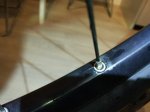 IMG_20170228_085028.jpg