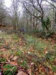 IMG-20170301-WA0021.jpg