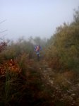 IMG-20170301-WA0017.jpg