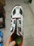 IMG_20170302_110548.jpg