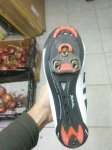 IMG_20170302_110540.jpg