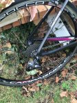 IMG-20170302-WA0017.jpg