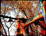 IMG_20170226_164642_807.jpg
