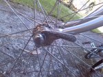 IMG_20161030_160543.jpg