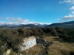 IMG_20170304_095936.jpg