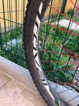 thumbnail_IMG_3716-06-03-17-06-33.jpg