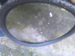 IMG_20170306_120105.jpg