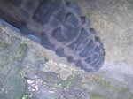 IMG_20170306_120108.jpg