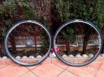 IMG_20170304_181030.jpg