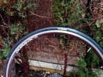 IMG_20170304_181043.jpg