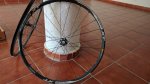IMG_20170306_115815.jpg