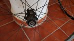 IMG_20170306_120031.jpg