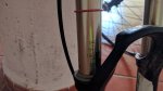 IMG_20170306_120244.jpg