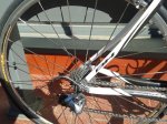20170301_121621.jpg