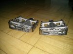 IMG_20170129_134652.jpg