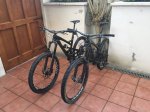 yt capra.jpg