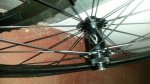 20170222_112415.jpg