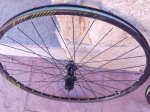 IMG_20170310_155131.jpg