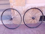 IMG_20170310_155048.jpg