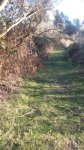 IMG-20170310-WA0004.jpg