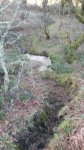 IMG-20170310-WA0008.jpg