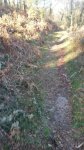 IMG-20170310-WA0005.jpg