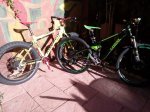 IMG_20170311_095755_1.jpg