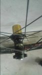 20170311_111400_resized.jpg