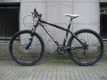 MI STUMPJUMPER 001.jpg