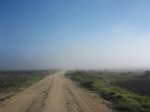 La niebla por Los Marchantes.jpg