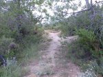 Imagen006.jpg