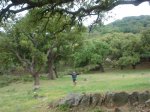 DSC00897.jpg