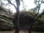 DSC00902.jpg