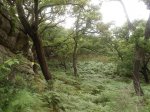 DSC00903.jpg