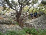 DSC00910.jpg