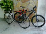 foromtb.jpg