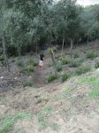 llinars_IMG_0969.jpg