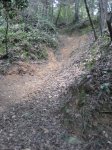 llinars_IMG_0972.jpg